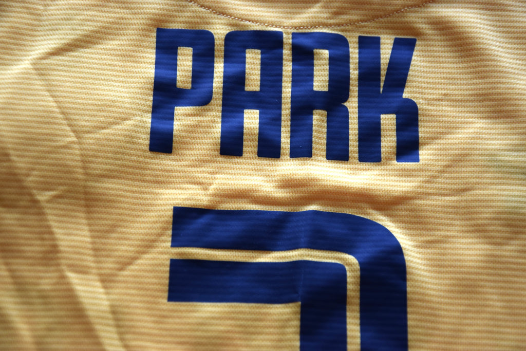 Dynamo Dresden Heimtrikot 2022/2023 M Umbro